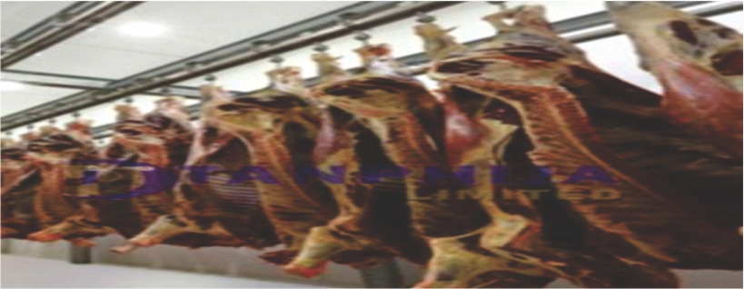 Slaughterhouse-center.jpg