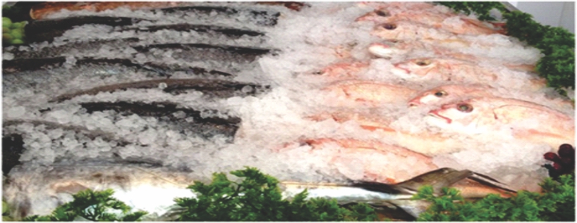 blast-rght-img.jpg
